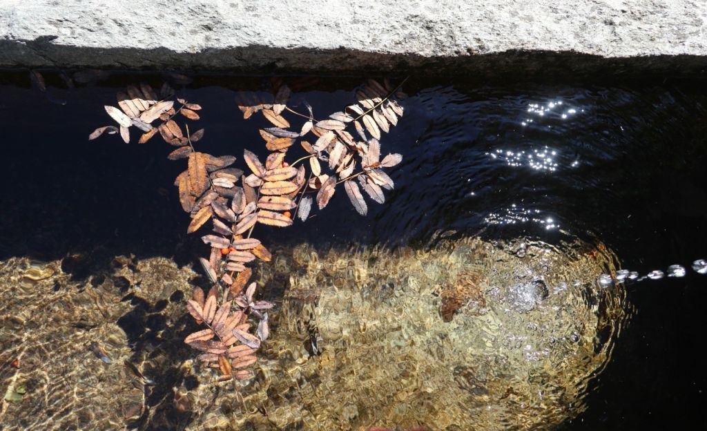 Roberto-nussio-IMG_4169.jpeg Res 6272 Ed6c3dc56f8242e173864960307ac86b