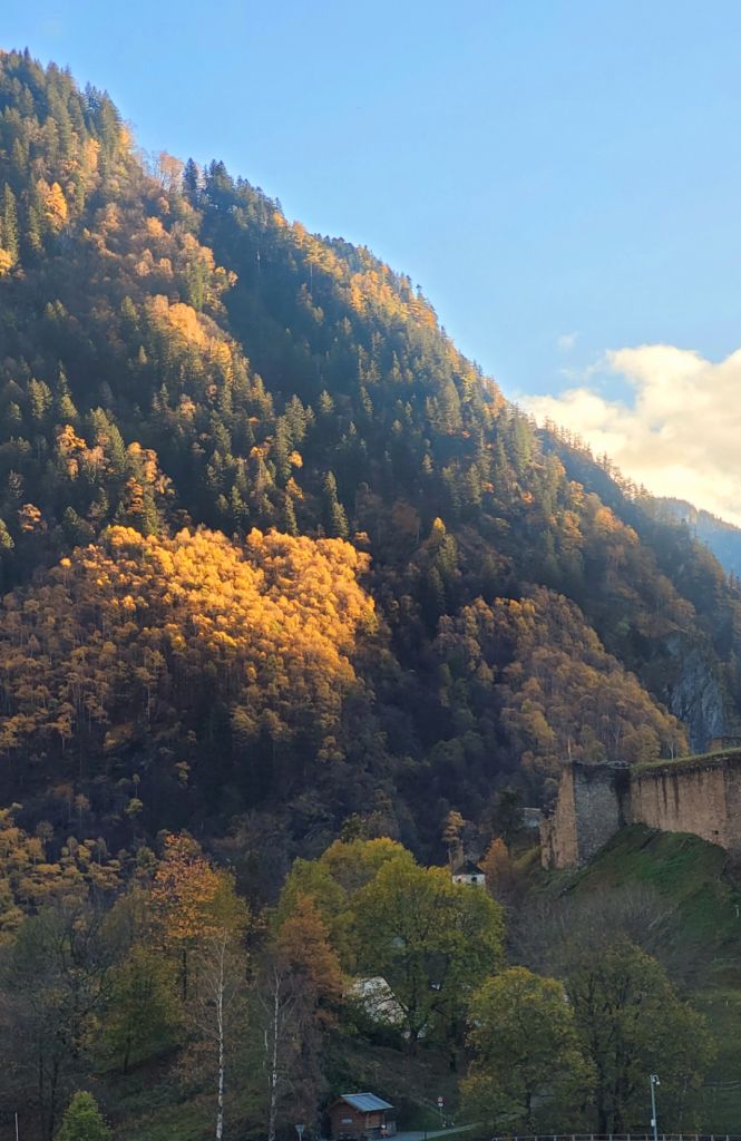 Daniela-PArolinit_20230829-093344_Gallery.jpg Res 6272 Ef6b64122fda1fee70e2fc6869829689