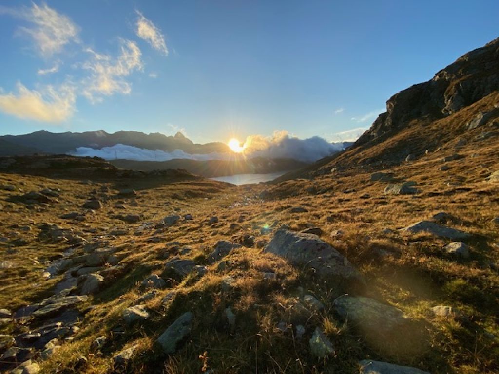 892.Alex-Pola_0163.jpg Res 6272 F143864bbcff413f13423a65e7c8bc51