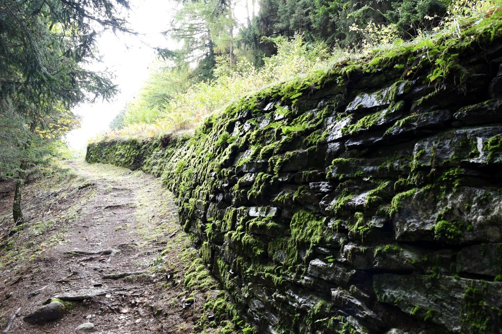 giro-dei-secoli_3242.jpeg Res 6306 19cdcaaabf6b1dd6a2ab41845d33ba19