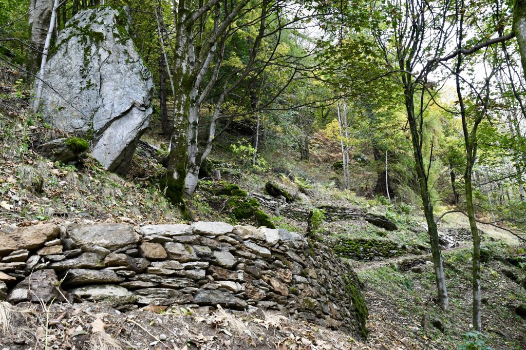 giro-dei-secoli_3225.jpeg Res 6306 3ebfd0032c397e7ed0f77bd12cb03a14