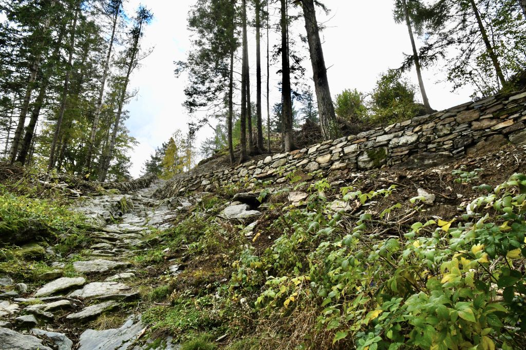 giro-dei-secoli_3266.jpeg Res 6306 4469f09a3559c1266c712c6139d2ec10