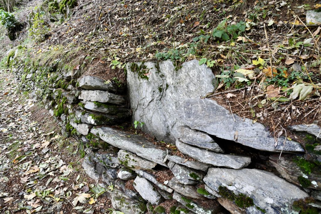 giro-dei-secoli_3221.jpeg Res 6306 5d55e2e76408587244f57699455d0d1c