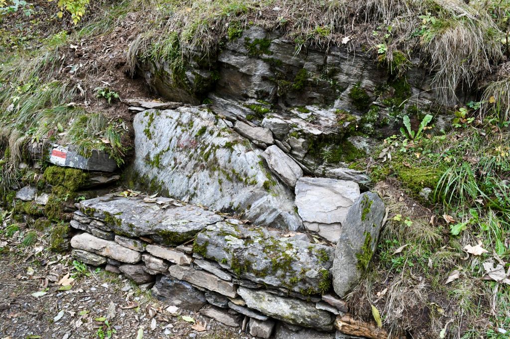 giro-dei-secoli_3231.jpeg Res 6306 6139268366e3464a9f86d619041a4349