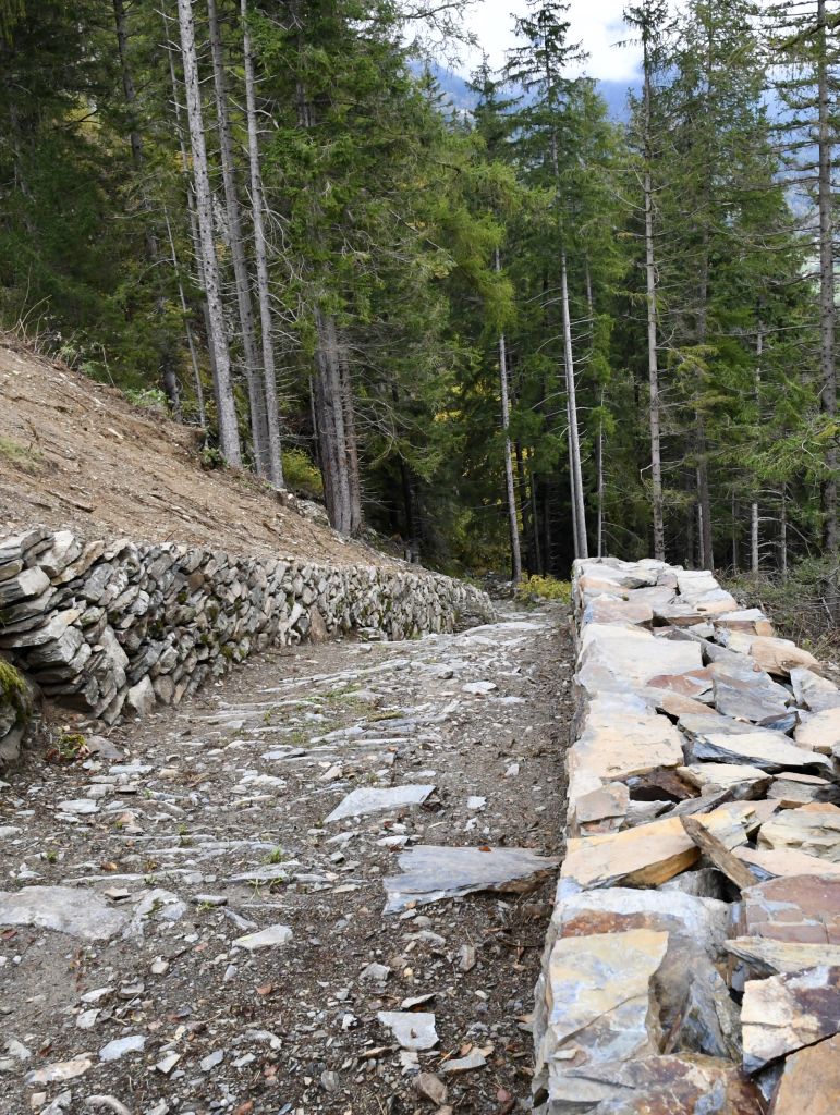 giro-dei-secoli_3272.jpeg Res 6306 866bcf4865b33515853edf4a1df38368