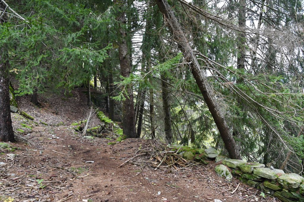 giro-dei-secoli_3299.jpeg Res 6306 E72da41fe1c7d40c4e48ac7f4df1ea4f