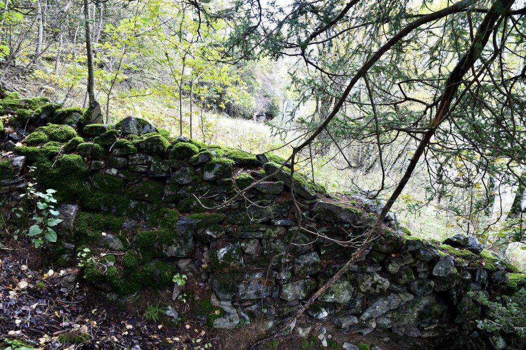 giro-dei-secoli_3306.jpeg Res 6306 E7f8cd199c95a4ef571e304a319656d2