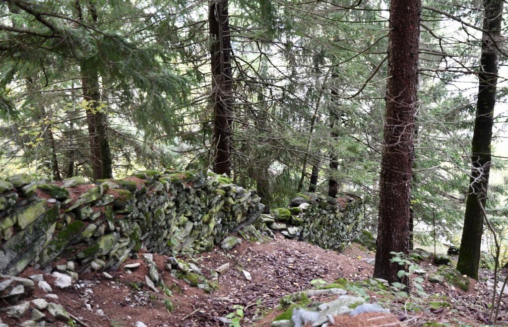 giro-dei-secoli_3301.jpeg Res 6306 F9cb023228fb48f224af9ae5edbc6d8a