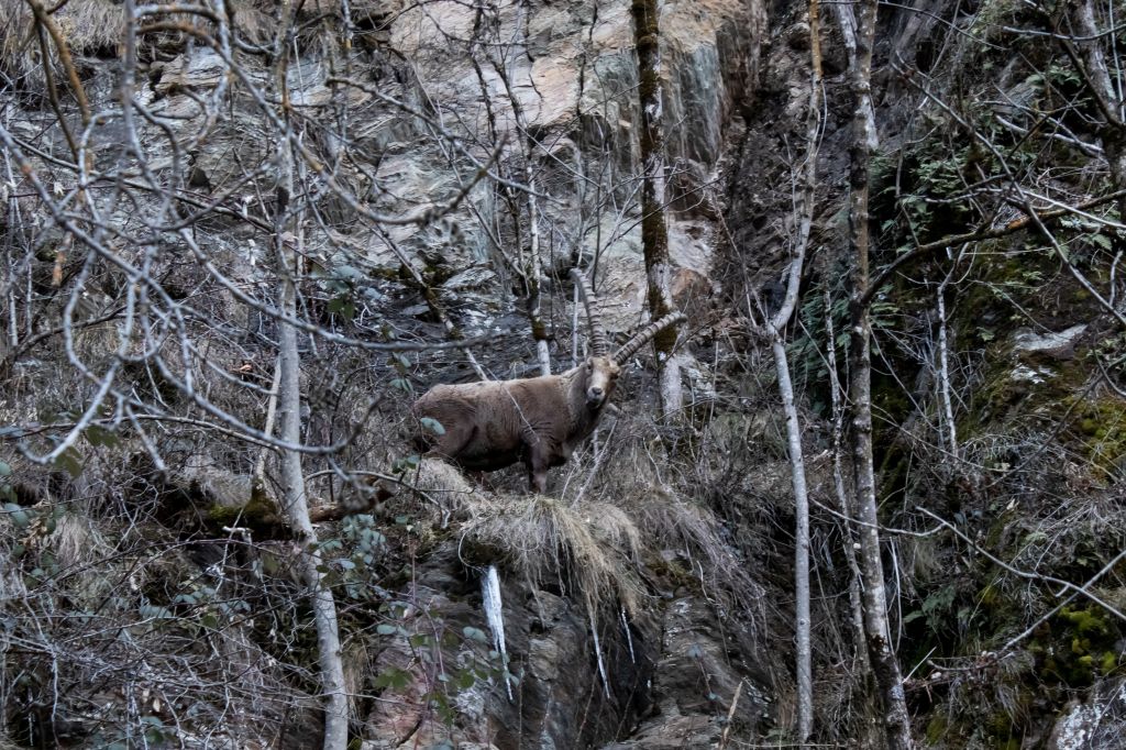 IMG_3515.jpg Res 6549 91b31d7ef95ef918ff9cb389da238d2a