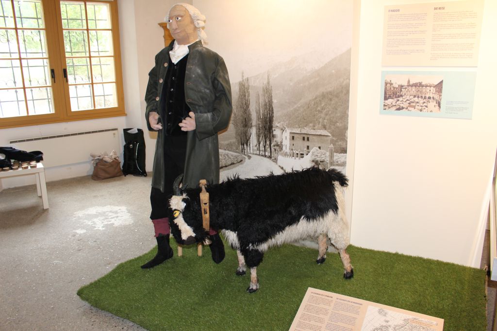 IMG_4917.jpeg Res 6961 F12e27b1f2702a9c032c55d3a64e0fac