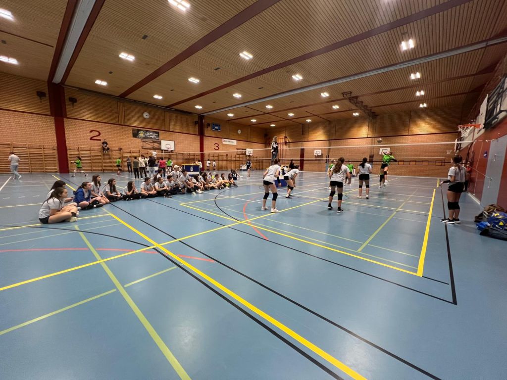 IMG-20241127-WA0021.jpg Res 7455 730372dbb476e03906607ffc03803b04