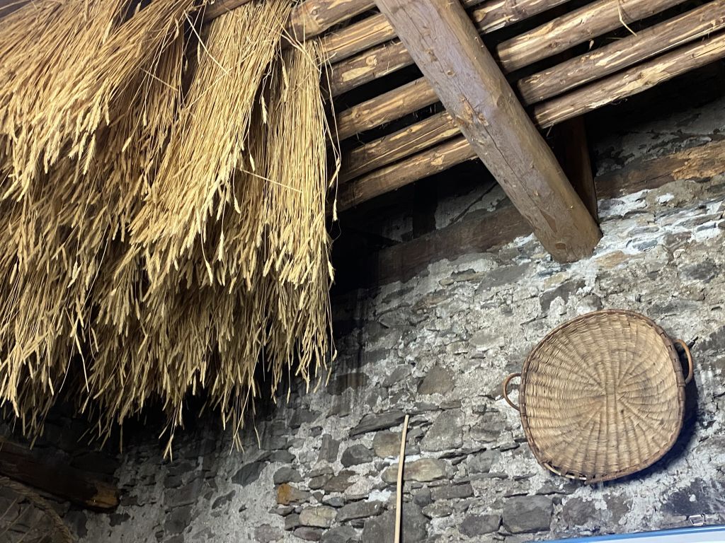 IMG_5390.jpeg Res 8096 F784ef9cfb529c437c1966a97bbe1074