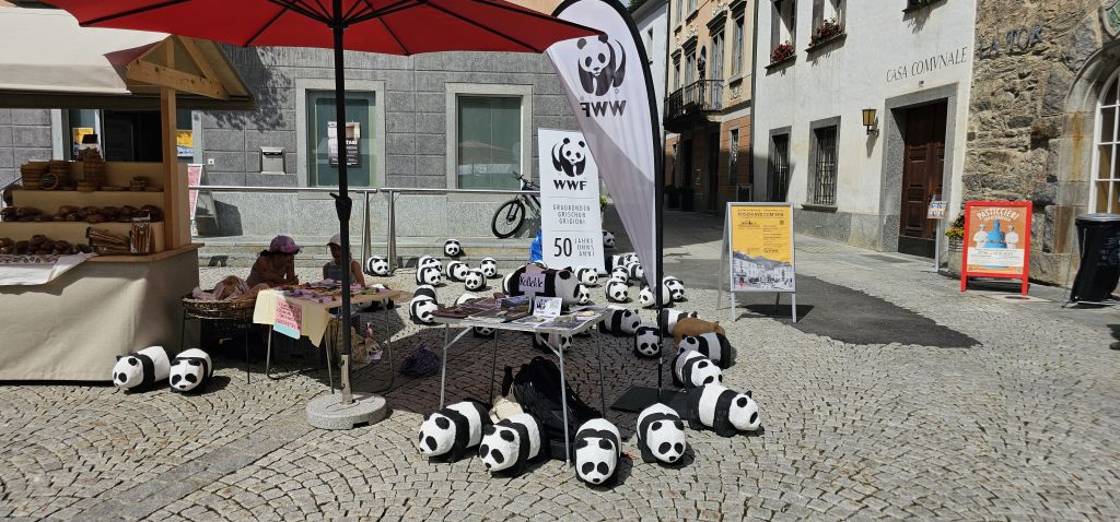 wwf Unknown-1.jpeg Res 8128 114af96447b6735166d89c7bb6be45db