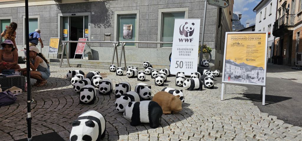 wwf 121583.jpg Res 8128 16c7539a0dad68767858115eafa9fe6b