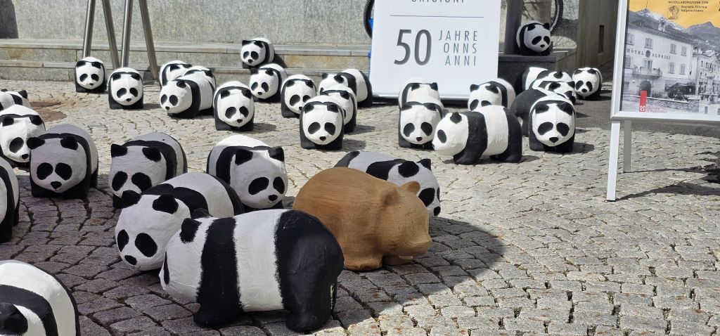 wwf Unknown.jpeg Res 8128 55efbda70b0f5c9603e3836f4439ee6b