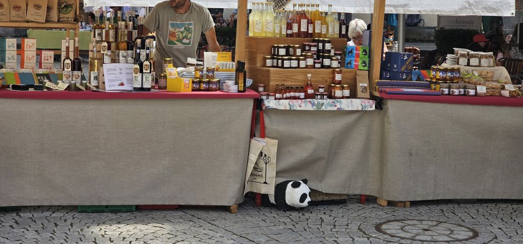 wwf 121569.jpg Res 8128 6fe74d06c0dae18d6b93b7e13ce236e9