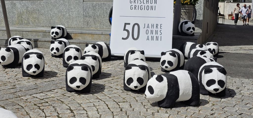 wwf 121581.jpg Res 8128 953e6ed8103d4a75d3231ae50f15803a