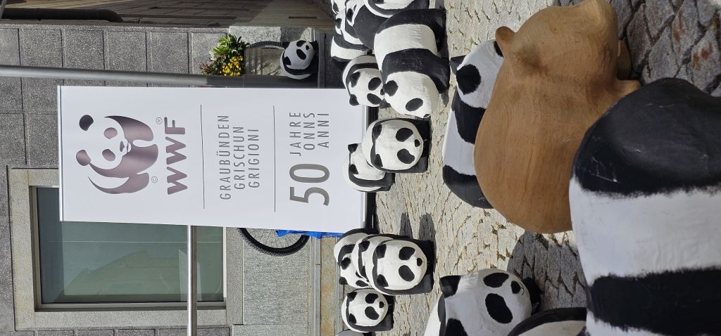 wwf 121558.jpg Res 8128 Aa4f0b3125a4e95374b086c402e1f29d