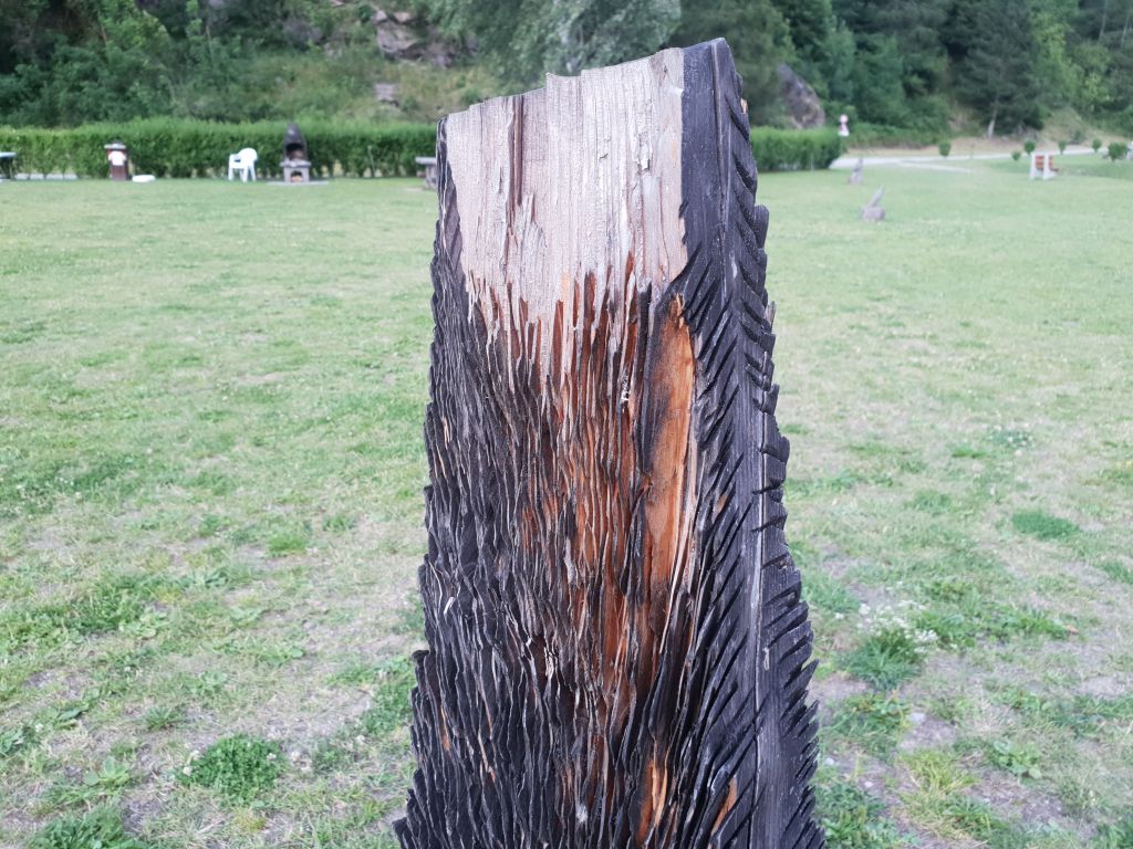 20180709_201423.jpg Res 879 14c1e93705c8117f6a7c5576554caa14