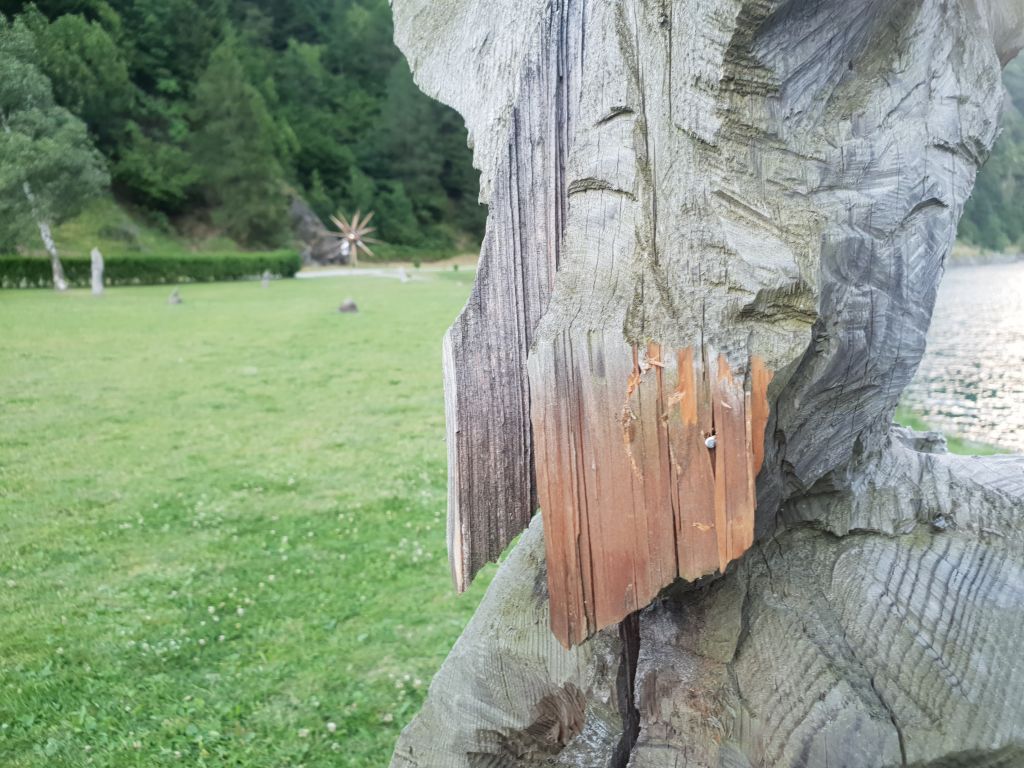 20180709_201354.jpg Res 879 727004ec9aec14a36b8979da852b1fcf