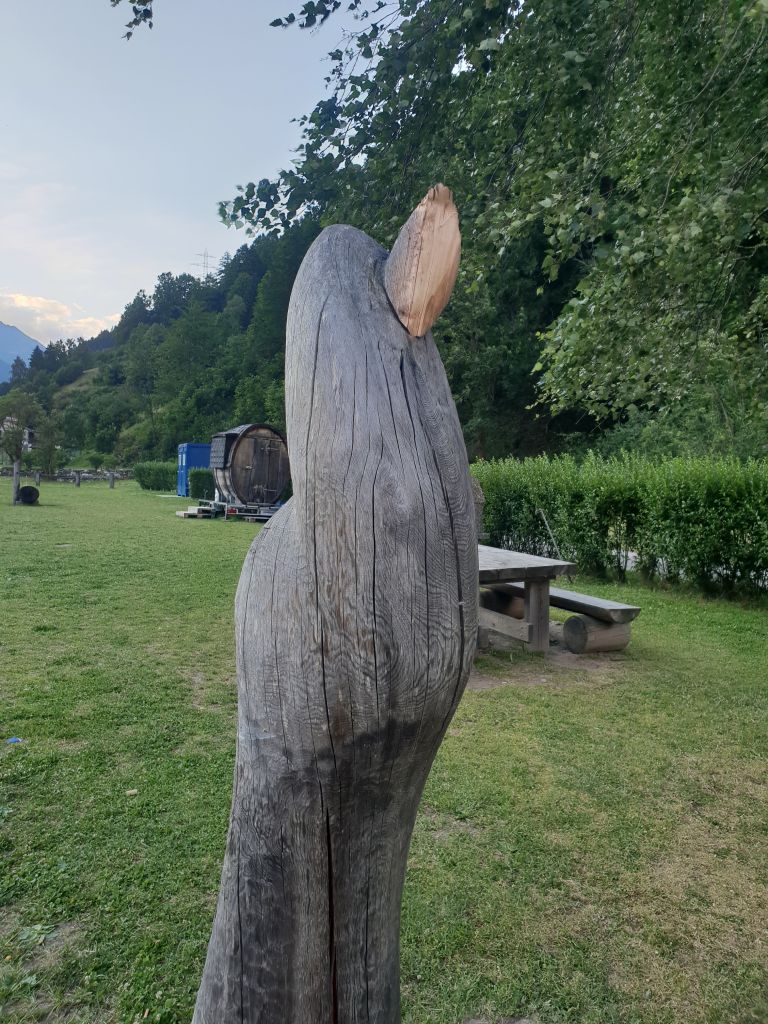 20180709_201544.jpg Res 879 8dd70038b507adc4e4f415071cb9276b