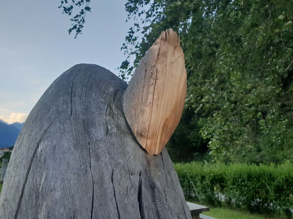 20180709_201540.jpg Res 879 A351f462901853f2a98f1d5c9ef686f9