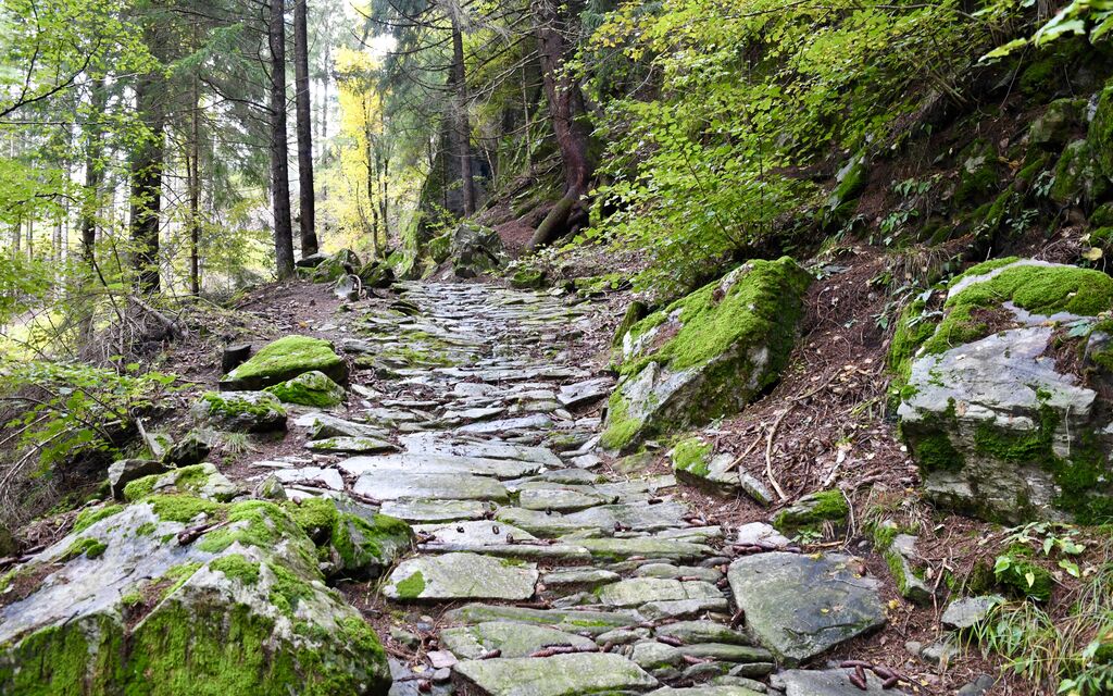 Giro Dei Secoli 3258 A08ae