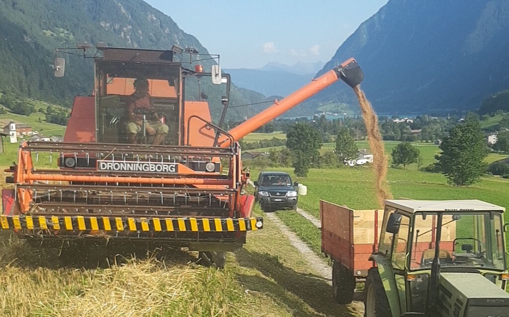 Mietitrebbia Copia 9f808