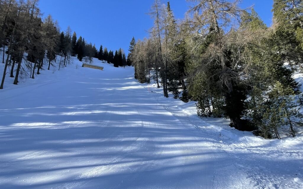 Morta Davos 20250304144226997194158159026.HR 05a23