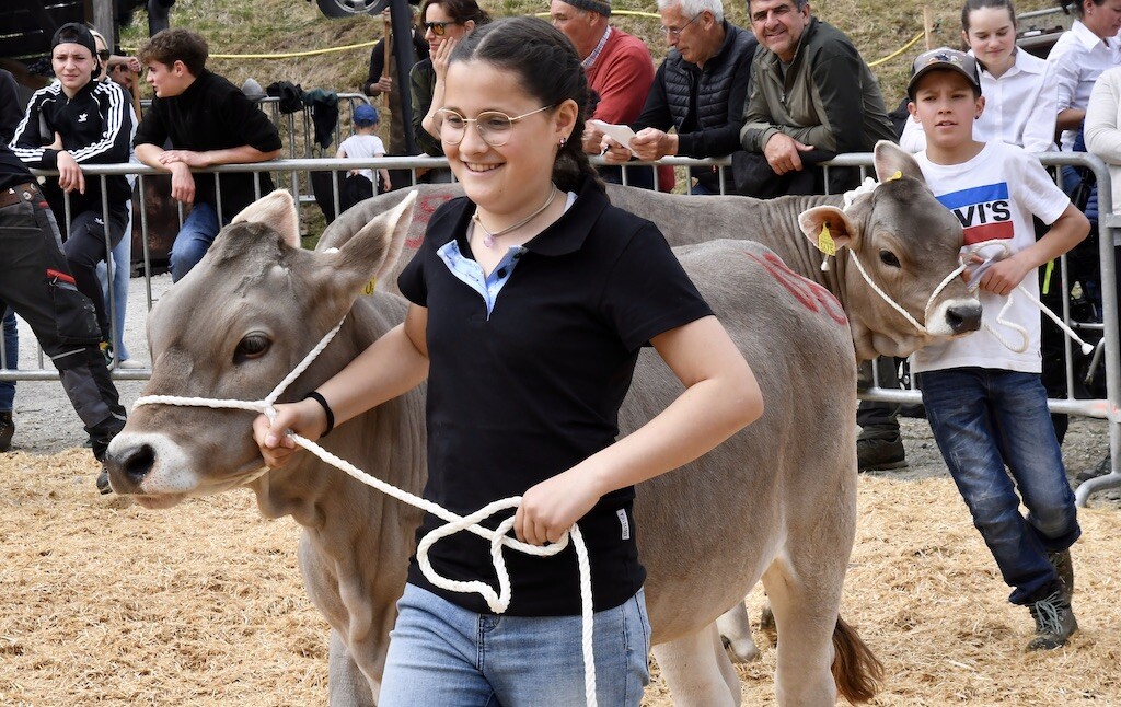 Mostra Bestiame 2025 Grande 5db3d