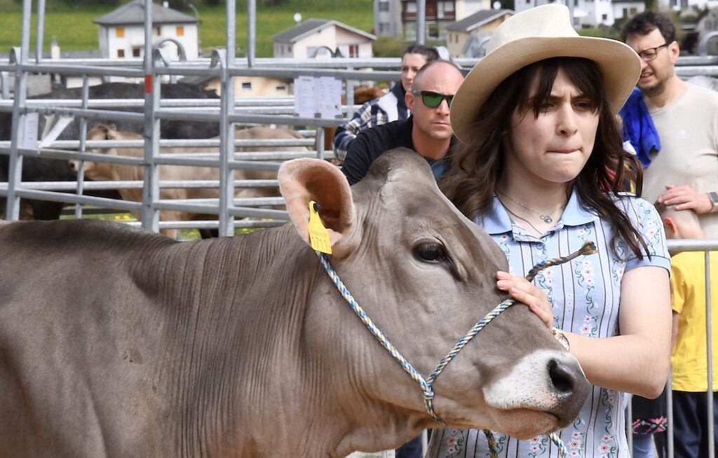 Mostra Bestiame 2025 Fb207