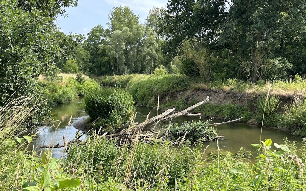 Natura Biotopo Highres C246a