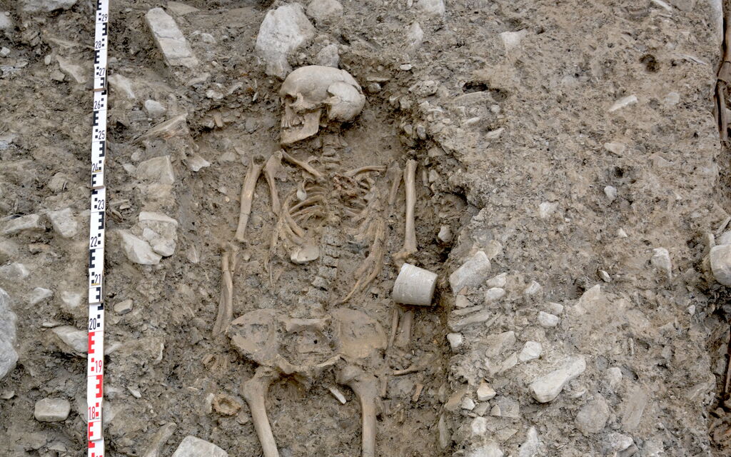 Necropoli Archeologia Zizers F555b