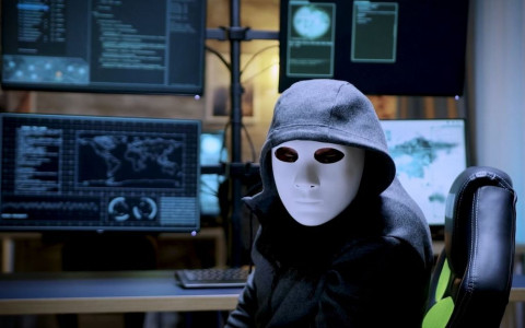 Cybertruffe: progetto pilota nei Grigioni