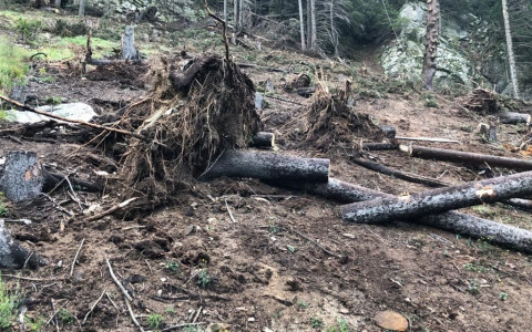 San Vittore: ferito boscaiolo 26enne