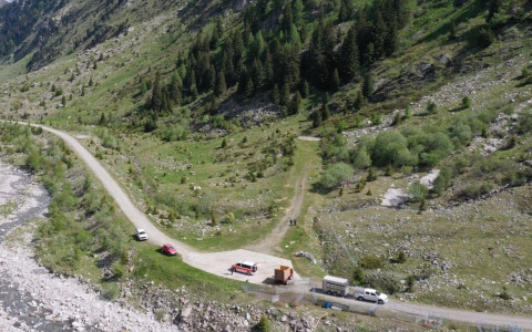 Contadina aggredita dalle mucche