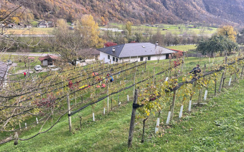 Leggia: incidente con il parapendio