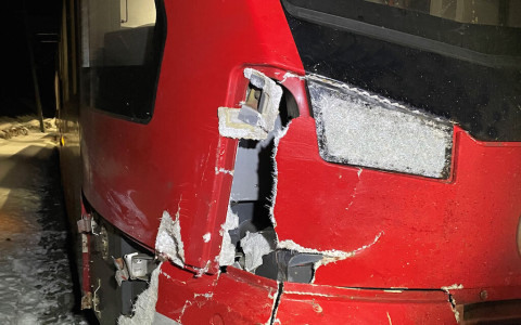 Madulain: 5 cavalli travolti dal treno