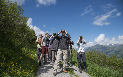 Le escursioni Birdlife arrivano in Valposchiavo
