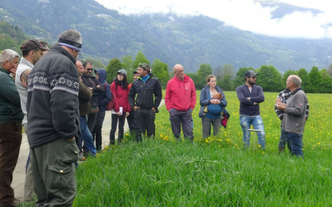 «Qui c'è campo!»: il video sulla campicoltura