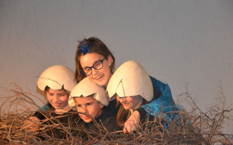 Teatro del Cioccolatino: guarda le foto