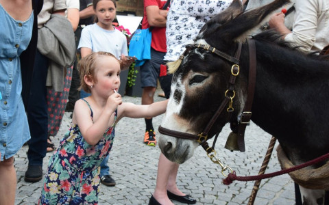 I somieri sono giunti in piazza a Poschiavo 