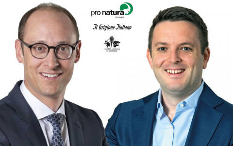 Dibattito in diretta tra Candinas e Pult