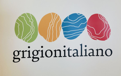Ecco il nuovo logo del Grigionitaliano! Ecco il nuovo logo del Grigionitaliano!