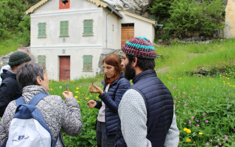 Festival delle erbe spontanee, un successo