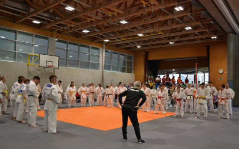 Judo Festival 2025: foto del torneo