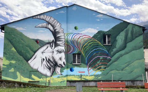 La Valposchiavo ha il suo stambecco