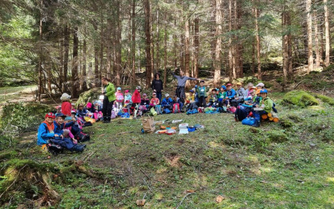 Progetto bosco della scuola dell'infanzia 