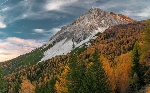 Nuove foto del concorso autunnale