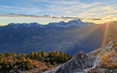 Concorso autunnale 2025: nuove foto